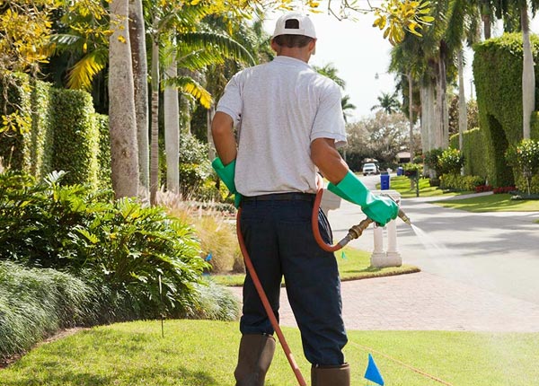 About Koloa HI Pest Control